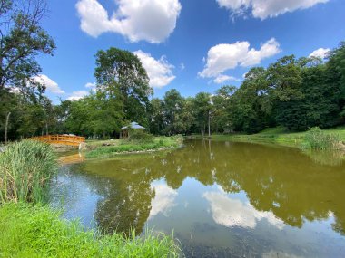 Pejacevic ailesinin kalesi Nasice - Hırvatistan (Jezerce u parku dvorca Pejacevic ili ribnjak u perivoju dvorca obitelji Pejaceviç, Nasice - Slavonija, Hrvatska)