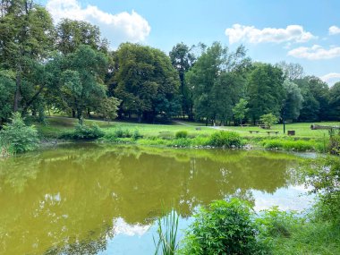Pejacevic ailesinin kalesi Nasice - Hırvatistan (Jezerce u parku dvorca Pejacevic ili ribnjak u perivoju dvorca obitelji Pejaceviç, Nasice - Slavonija, Hrvatska)