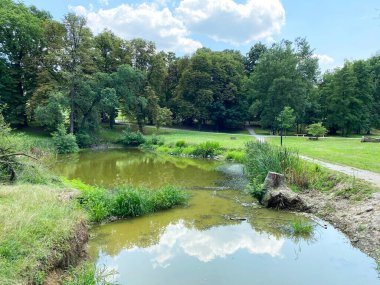 Pejacevic ailesinin kalesi Nasice - Hırvatistan (Jezerce u parku dvorca Pejacevic ili ribnjak u perivoju dvorca obitelji Pejaceviç, Nasice - Slavonija, Hrvatska)