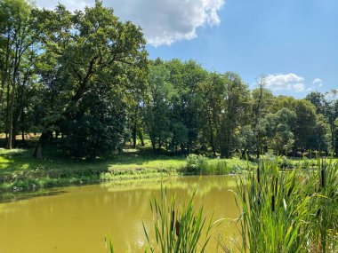 Pejacevic ailesinin kalesi Nasice - Hırvatistan (Jezerce u parku dvorca Pejacevic ili ribnjak u perivoju dvorca obitelji Pejaceviç, Nasice - Slavonija, Hrvatska)
