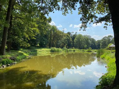 Pejacevic ailesinin kalesi Nasice - Hırvatistan (Jezerce u parku dvorca Pejacevic ili ribnjak u perivoju dvorca obitelji Pejaceviç, Nasice - Slavonija, Hrvatska)