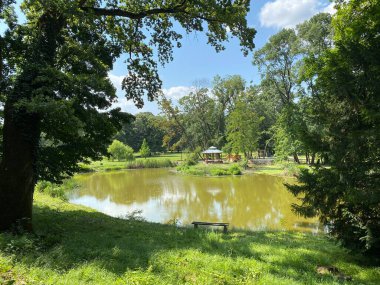 Pejacevic ailesinin kalesi Nasice - Hırvatistan (Jezerce u parku dvorca Pejacevic ili ribnjak u perivoju dvorca obitelji Pejaceviç, Nasice - Slavonija, Hrvatska)