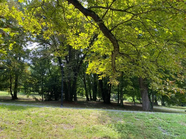 ナシスのペジャベツ城の公園またはペジャベツ家の城の隣の公園 スラヴォニア クロアチア Park Dvorca Pejacevic Nasicama Ili Perivoj Dvorac — ストック写真