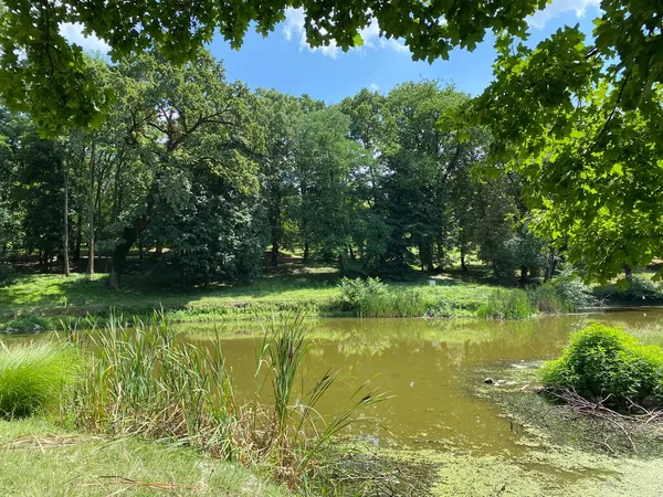 小さな人工湖やペジャベツ家の城の公園内の池 ナシス クロアチア Jezerce Parku Dvorca Pejacevic Ili Rinjak Perivoju — ストック写真
