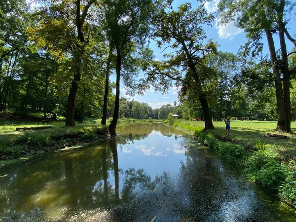 Ein Kleiner Künstlicher See Oder Teich Park Des Schlosses Der — Stockfoto