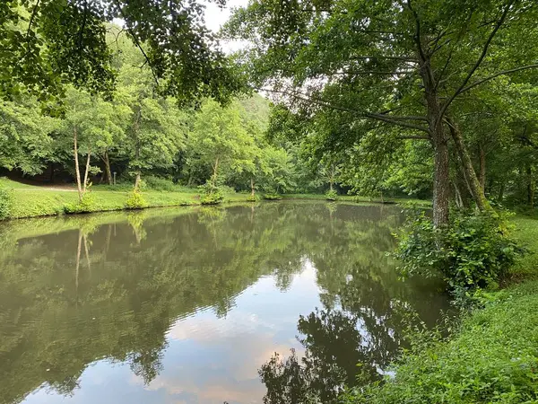 stock image The sports pond in the forest of the Papuk nature park - Slavonia, Croatia (Sportski ribnjak u sumi parka prirode Papuk ili ribnjak sportsko-ribolovnog drustva Matisevac, Kutjevo - Slavonija, Hrvatska)