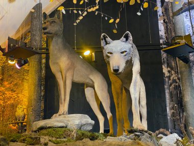 Stara Susica 'daki Büyük Etçiller Ziyaret Merkezi - Hırvatistan (Centar za posjetitelje Velike zvijeri u Staroj Susici - Gorski kotar, Hrvatska)