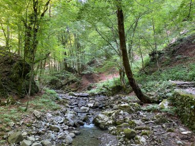 Özel jeomorfolojik rezerv Şeytan Geçidi kanyonu veya Şeytan Geçidi - Hırvatistan (Posebni geomorfoloski rezervi Vrazji prolaz ili znacajni krajobraz Vrazji prolaz, Skrad - Gorski kotar, Hrvatska)