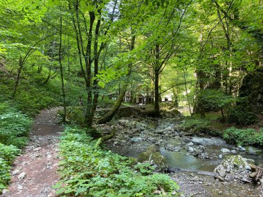 Özel jeomorfolojik rezerv Şeytan Geçidi kanyonu veya Şeytan Geçidi - Hırvatistan (Posebni geomorfoloski rezervi Vrazji prolaz ili znacajni krajobraz Vrazji prolaz, Skrad - Gorski kotar, Hrvatska)