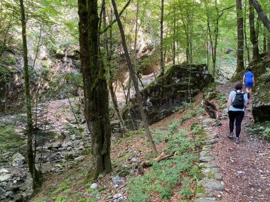 Özel jeomorfolojik rezerv Şeytan Geçidi kanyonu veya Şeytan Geçidi - Hırvatistan (Posebni geomorfoloski rezervi Vrazji prolaz ili znacajni krajobraz Vrazji prolaz, Skrad - Gorski kotar, Hrvatska)