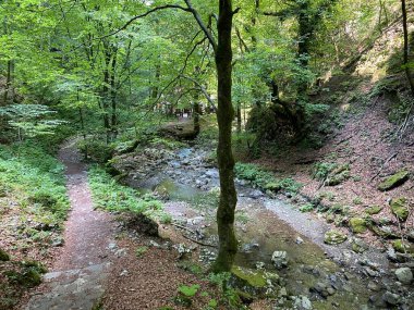 Özel jeomorfolojik rezerv Şeytan Geçidi kanyonu veya Şeytan Geçidi - Hırvatistan (Posebni geomorfoloski rezervi Vrazji prolaz ili znacajni krajobraz Vrazji prolaz, Skrad - Gorski kotar, Hrvatska)