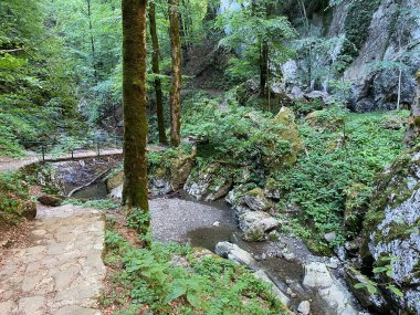 Özel jeomorfolojik rezerv Şeytan Geçidi kanyonu veya Şeytan Geçidi - Hırvatistan (Posebni geomorfoloski rezervi Vrazji prolaz ili znacajni krajobraz Vrazji prolaz, Skrad - Gorski kotar, Hrvatska)