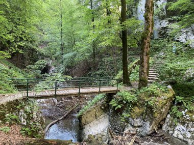 Özel jeomorfolojik rezerv Şeytan Geçidi kanyonu veya Şeytan Geçidi - Hırvatistan (Posebni geomorfoloski rezervi Vrazji prolaz ili znacajni krajobraz Vrazji prolaz, Skrad - Gorski kotar, Hrvatska)