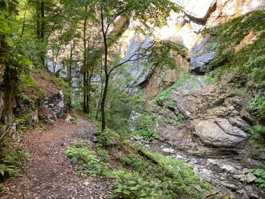 Özel jeomorfolojik rezerv Şeytan Geçidi kanyonu veya Şeytan Geçidi - Hırvatistan (Posebni geomorfoloski rezervi Vrazji prolaz ili znacajni krajobraz Vrazji prolaz, Skrad - Gorski kotar, Hrvatska)