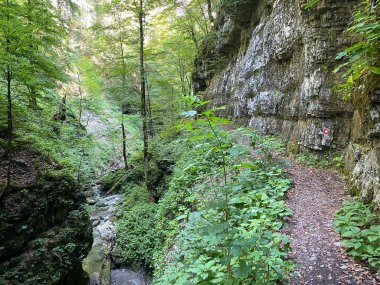 Özel jeomorfolojik rezerv Şeytan Geçidi kanyonu veya Şeytan Geçidi - Hırvatistan (Posebni geomorfoloski rezervi Vrazji prolaz ili znacajni krajobraz Vrazji prolaz, Skrad - Gorski kotar, Hrvatska)