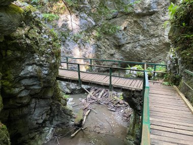 Özel jeomorfolojik rezerv Şeytan Geçidi kanyonu veya Şeytan Geçidi - Hırvatistan (Posebni geomorfoloski rezervi Vrazji prolaz ili znacajni krajobraz Vrazji prolaz, Skrad - Gorski kotar, Hrvatska)