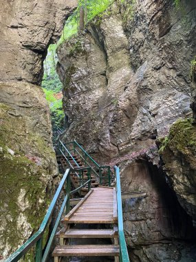 Özel jeomorfolojik rezerv Şeytan Geçidi kanyonu veya Şeytan Geçidi - Hırvatistan (Posebni geomorfoloski rezervi Vrazji prolaz ili znacajni krajobraz Vrazji prolaz, Skrad - Gorski kotar, Hrvatska)