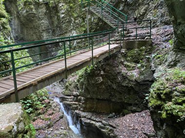 Özel jeomorfolojik rezerv Şeytan Geçidi kanyonu veya Şeytan Geçidi - Hırvatistan (Posebni geomorfoloski rezervi Vrazji prolaz ili znacajni krajobraz Vrazji prolaz, Skrad - Gorski kotar, Hrvatska)