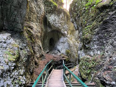 Özel jeomorfolojik rezerv Şeytan Geçidi kanyonu veya Şeytan Geçidi - Hırvatistan (Posebni geomorfoloski rezervi Vrazji prolaz ili znacajni krajobraz Vrazji prolaz, Skrad - Gorski kotar, Hrvatska)