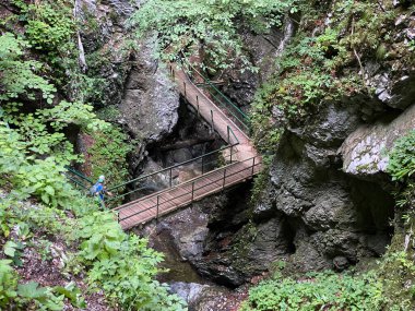 Özel jeomorfolojik rezerv Şeytan Geçidi kanyonu veya Şeytan Geçidi - Hırvatistan (Posebni geomorfoloski rezervi Vrazji prolaz ili znacajni krajobraz Vrazji prolaz, Skrad - Gorski kotar, Hrvatska)