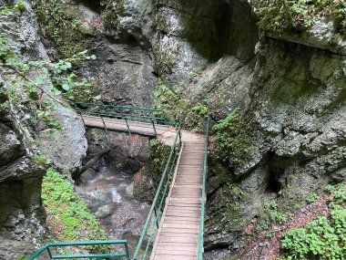 Özel jeomorfolojik rezerv Şeytan Geçidi kanyonu veya Şeytan Geçidi - Hırvatistan (Posebni geomorfoloski rezervi Vrazji prolaz ili znacajni krajobraz Vrazji prolaz, Skrad - Gorski kotar, Hrvatska)