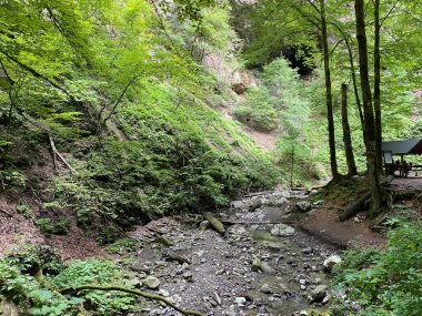 Özel jeomorfolojik rezerv Şeytan Geçidi kanyonu veya Şeytan Geçidi - Hırvatistan (Posebni geomorfoloski rezervi Vrazji prolaz ili znacajni krajobraz Vrazji prolaz, Skrad - Gorski kotar, Hrvatska)