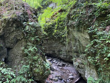 Özel jeomorfolojik rezerv Şeytan Geçidi kanyonu veya Şeytan Geçidi - Hırvatistan (Posebni geomorfoloski rezervi Vrazji prolaz ili znacajni krajobraz Vrazji prolaz, Skrad - Gorski kotar, Hrvatska)