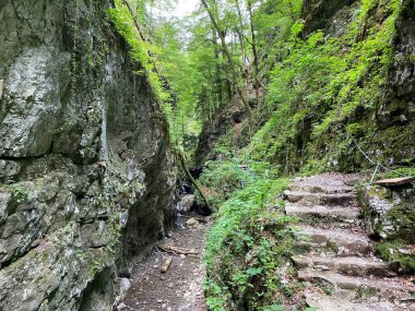 Özel jeomorfolojik rezerv Şeytan Geçidi kanyonu veya Şeytan Geçidi - Hırvatistan (Posebni geomorfoloski rezervi Vrazji prolaz ili znacajni krajobraz Vrazji prolaz, Skrad - Gorski kotar, Hrvatska)