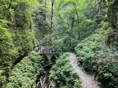 Özel jeomorfolojik rezerv Şeytan Geçidi kanyonu veya Şeytan Geçidi - Hırvatistan (Posebni geomorfoloski rezervi Vrazji prolaz ili znacajni krajobraz Vrazji prolaz, Skrad - Gorski kotar, Hrvatska)