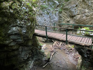 Özel jeomorfolojik rezerv Şeytan Geçidi kanyonu veya Şeytan Geçidi - Hırvatistan (Posebni geomorfoloski rezervi Vrazji prolaz ili znacajni krajobraz Vrazji prolaz, Skrad - Gorski kotar, Hrvatska)