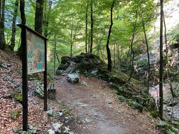 Özel Jeomorfolojik Rezerv Şeytan Geçidi Kanyonu Veya Şeytan Geçidi Hırvatistan — Stok fotoğraf