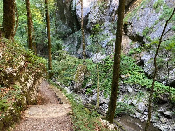Ειδικό Γεωμορφολογικό Αποθεματικό Φαράγγι Devil Pass Πέρασμα Του Διαβόλου Κροατία — Φωτογραφία Αρχείου