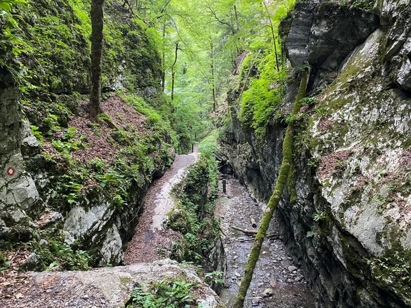 Özel Jeomorfolojik Rezerv Şeytan Geçidi Kanyonu Veya Şeytan Geçidi Hırvatistan — Stok fotoğraf