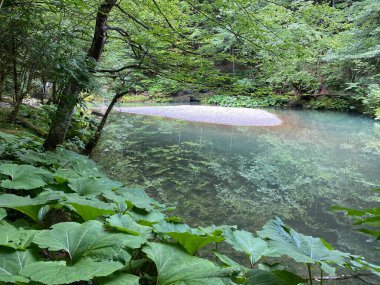 Korunan peyzaj Yeşil girdabı veya özel jeomorfolojik rezerv Yeşil girdabı, Skrad - Hırvatistan (Posebni geomorfoloski rezervi Zeleni vir ili znacajni krajobraz Zeleni vir - Gorski kotar, Hrvatska)