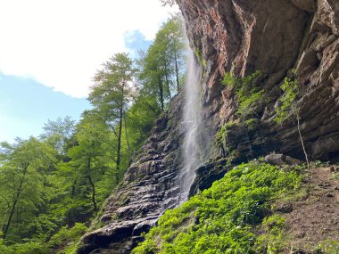 Zeleni vir şelalesi veya Curak şelalesi önemli yeşil girdabın içinde - Hırvatistan (Slap Zeleni vir ili vodopad Curak u znacajnom krajoliku Zeleni vir, Skrad - Gorski kotar, Hrvatska)