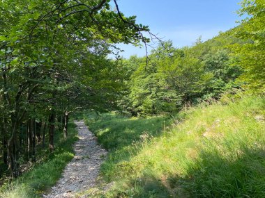 Markirane planinarske staze i rekreativni putovi u nacionalnom parku Risnjak, Crni Lug - Gorski kotar, Hrvatska)