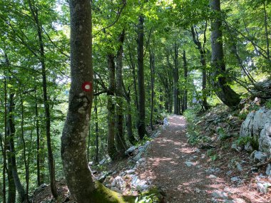 Markirane planinarske staze i rekreativni putovi u nacionalnom parku Risnjak, Crni Lug - Gorski kotar, Hrvatska)