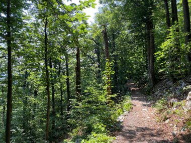 Markirane planinarske staze i rekreativni putovi u nacionalnom parku Risnjak, Crni Lug - Gorski kotar, Hrvatska)