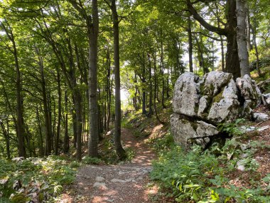 Markirane planinarske staze i rekreativni putovi u nacionalnom parku Risnjak, Crni Lug - Gorski kotar, Hrvatska)