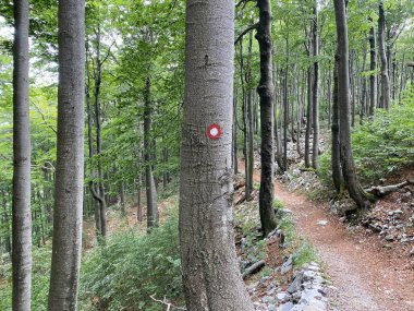 Markirane planinarske staze i rekreativni putovi u nacionalnom parku Risnjak, Crni Lug - Gorski kotar, Hrvatska)