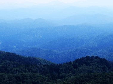Risnjak Milli Parkı 'ndan Gorski Kotar' ın uzak tepeleri ve dağ ormanlarının manzarası - Hırvatistan (Pogled na udaljene brijegove i planinske sume Gorskog kotara iz nacionalnog parka Risnjak - Gorski kotar, Hrvatska)