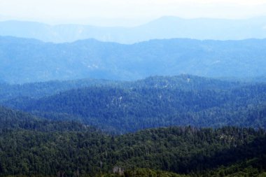 Risnjak Milli Parkı 'ndan Gorski Kotar' ın uzak tepeleri ve dağ ormanlarının manzarası - Hırvatistan (Pogled na udaljene brijegove i planinske sume Gorskog kotara iz nacionalnog parka Risnjak - Gorski kotar, Hrvatska)