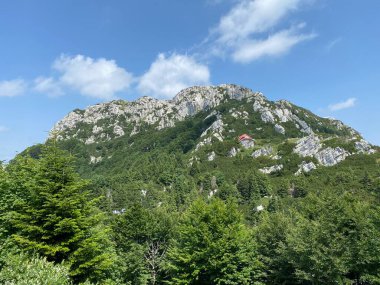 Risnjak Milli Parkı 'nda Veliki Risnjak Tepesi (1,528 metre), Crni Lug - Hırvatistan (Vrh Veliki Risnjak (1,528 metre) u nacionalnom parku Risnjak, Crni Lug - Gorski kotar, Hrvatska)