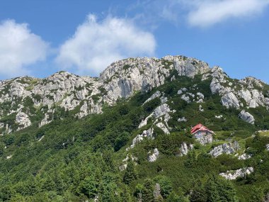 Risnjak Milli Parkı 'nda Veliki Risnjak Tepesi (1,528 metre), Crni Lug - Hırvatistan (Vrh Veliki Risnjak (1,528 metre) u nacionalnom parku Risnjak, Crni Lug - Gorski kotar, Hrvatska)