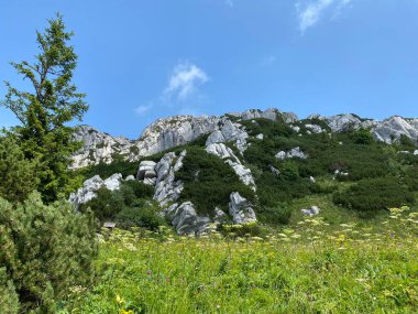 Risnjak Milli Parkı 'nda Veliki Risnjak Tepesi (1,528 metre), Crni Lug - Hırvatistan (Vrh Veliki Risnjak (1,528 metre) u nacionalnom parku Risnjak, Crni Lug - Gorski kotar, Hrvatska)