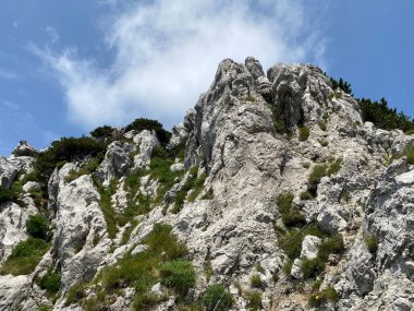 Risnjak Milli Parkı 'nda Veliki Risnjak Tepesi (1,528 metre), Crni Lug - Hırvatistan (Vrh Veliki Risnjak (1,528 metre) u nacionalnom parku Risnjak, Crni Lug - Gorski kotar, Hrvatska)