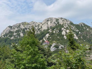 Risnjak Milli Parkı 'nda Veliki Risnjak Tepesi (1,528 metre), Crni Lug - Hırvatistan (Vrh Veliki Risnjak (1,528 metre) u nacionalnom parku Risnjak, Crni Lug - Gorski kotar, Hrvatska)