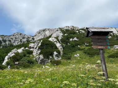 Risnjak Milli Parkı 'nda Veliki Risnjak Tepesi (1,528 metre), Crni Lug - Hırvatistan (Vrh Veliki Risnjak (1,528 metre) u nacionalnom parku Risnjak, Crni Lug - Gorski kotar, Hrvatska)