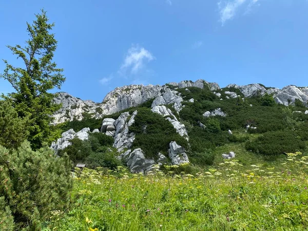 Szczyt Veliki Risnjak 528 Parku Narodowym Risnjak Crni Lug Chorwacja — Zdjęcie stockowe