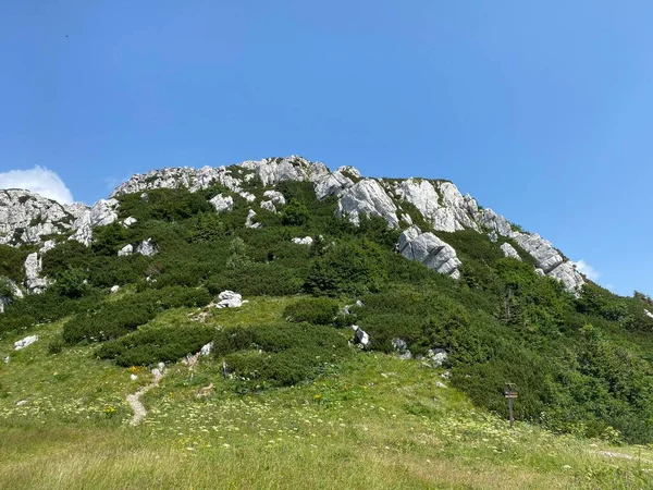 Peak Veliki Risnjak 528 Risnjak National Park Crni Lug Κροατία — Φωτογραφία Αρχείου